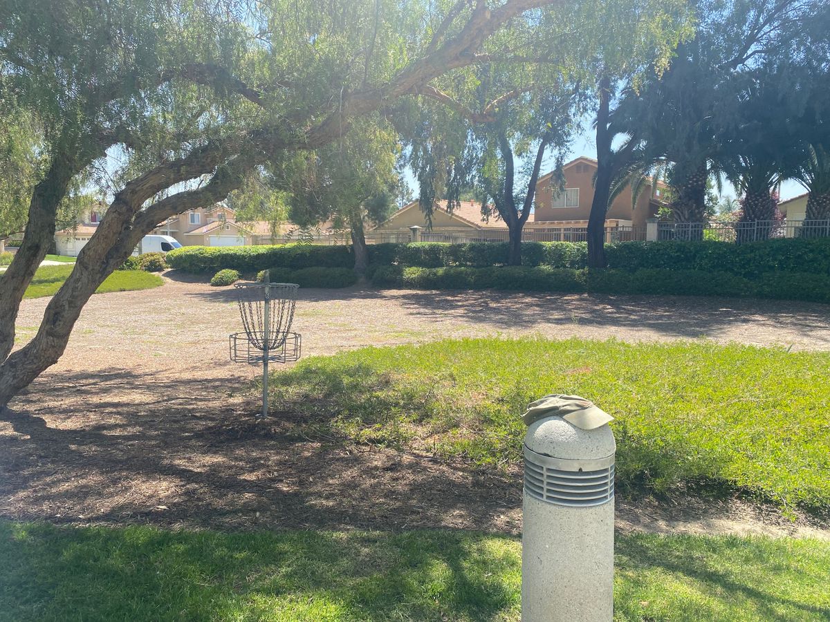 #6 basket NEW location…same tee pad