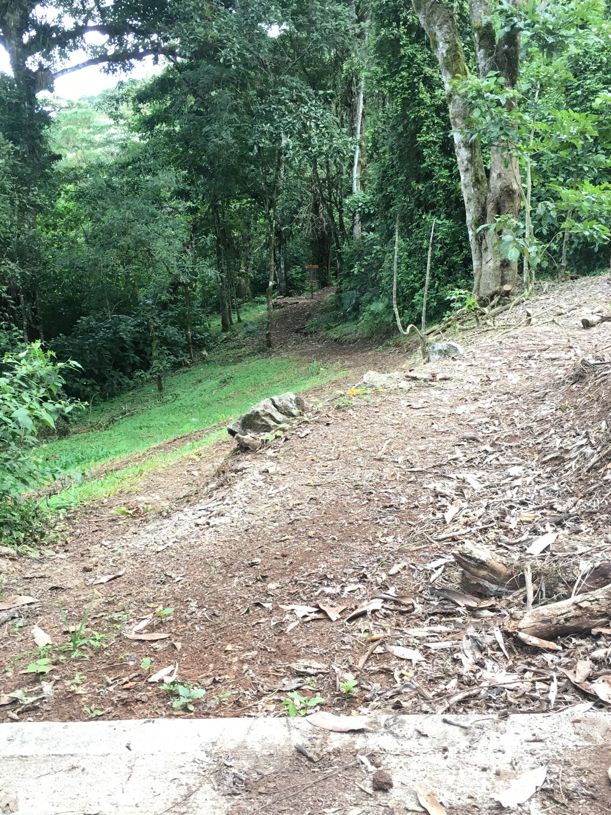 Hole 2 Short Tee