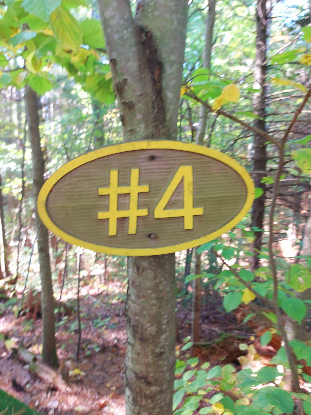 Hole sign 4