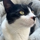 User avatar image
