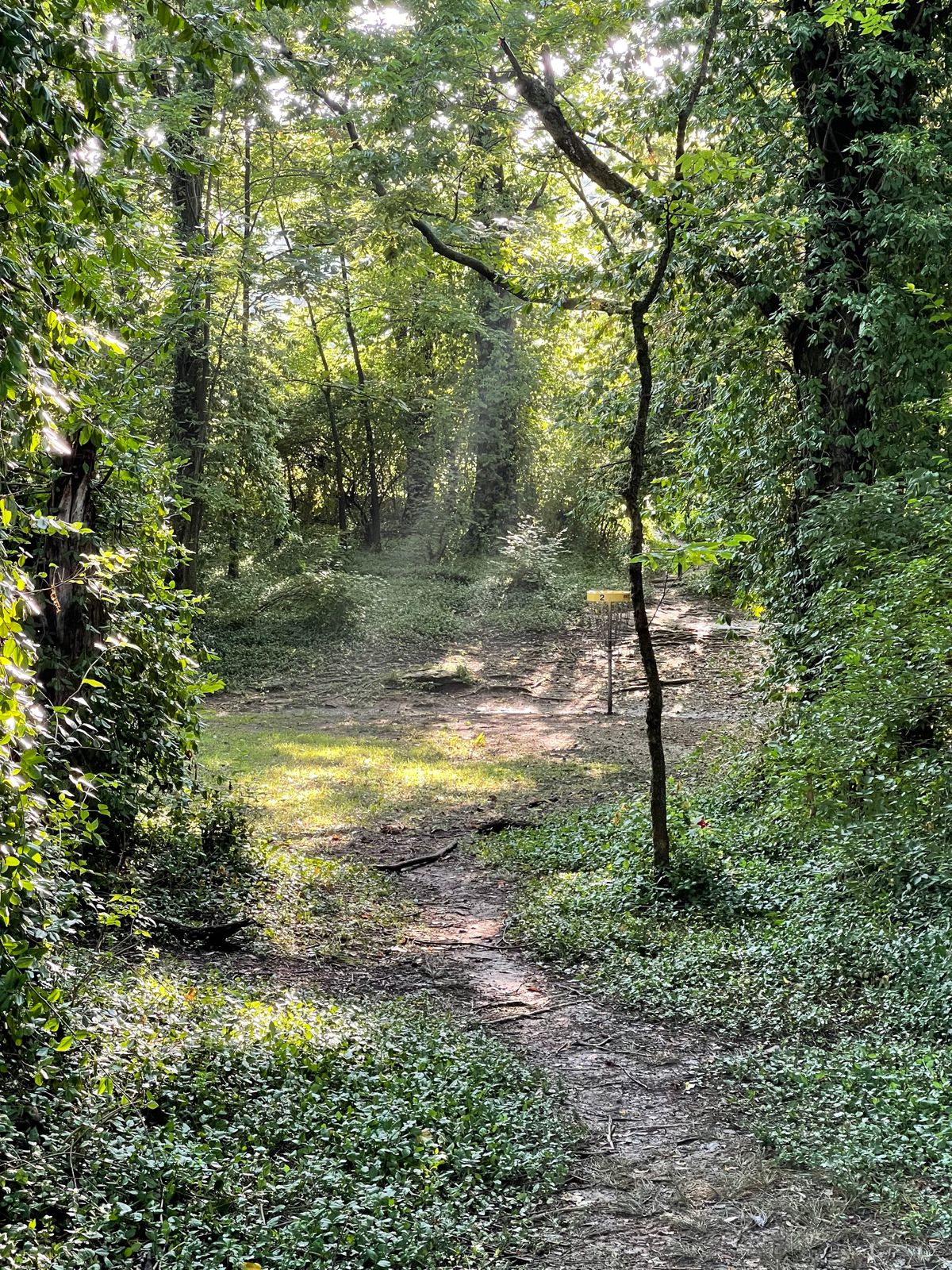 Early morning round. Hole 2 basket.