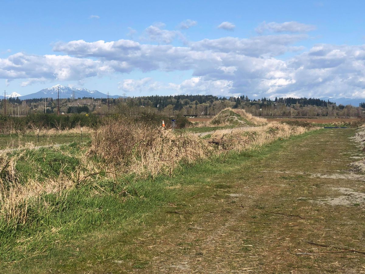 New hole 9