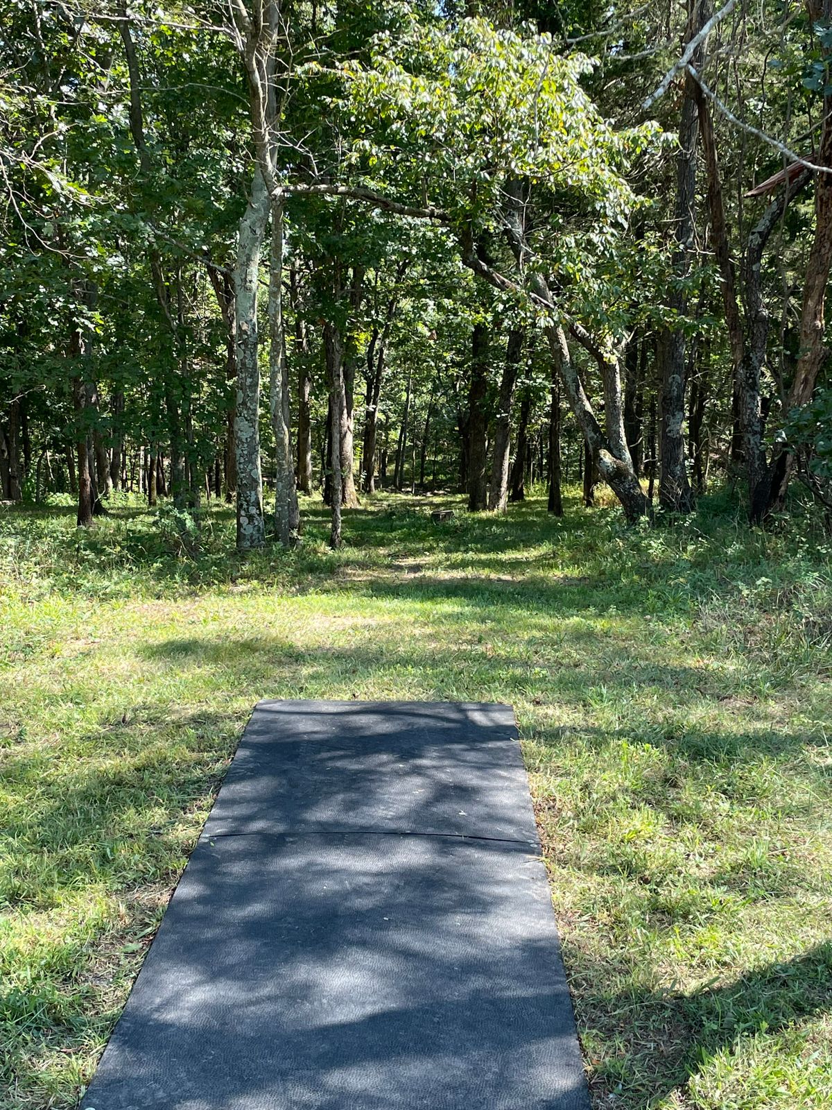 Tee pad 5