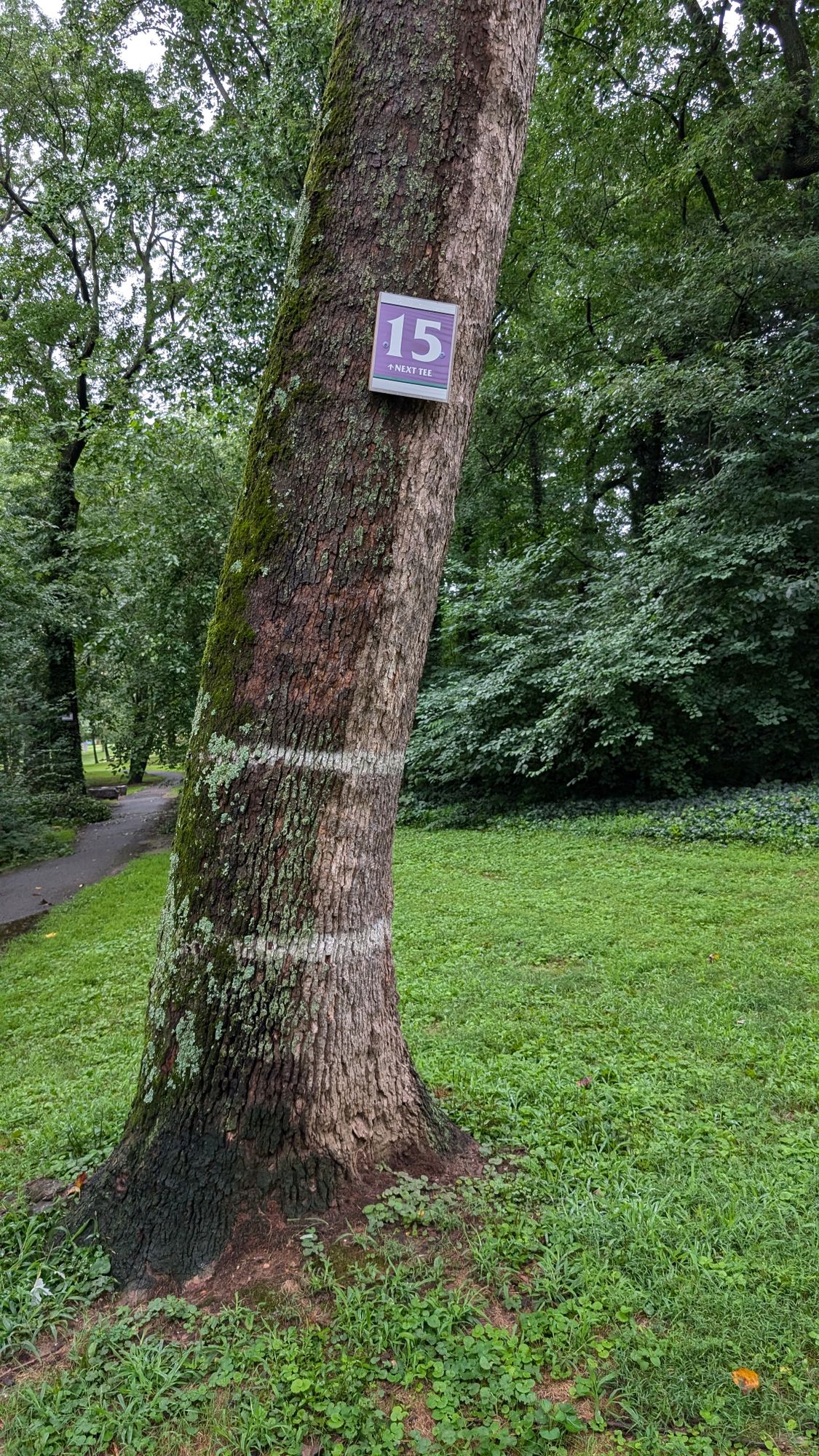 Hole 15 Target (new sign)