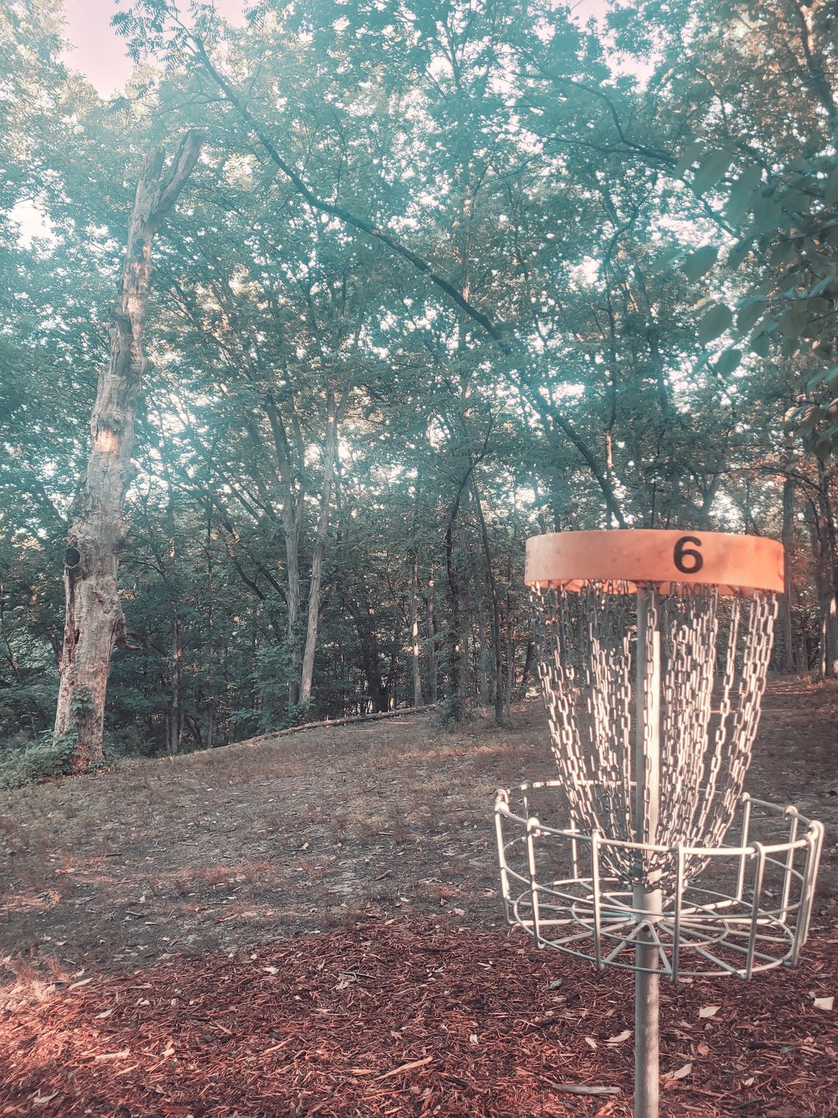 Hole 6 - Looking back toward fairway