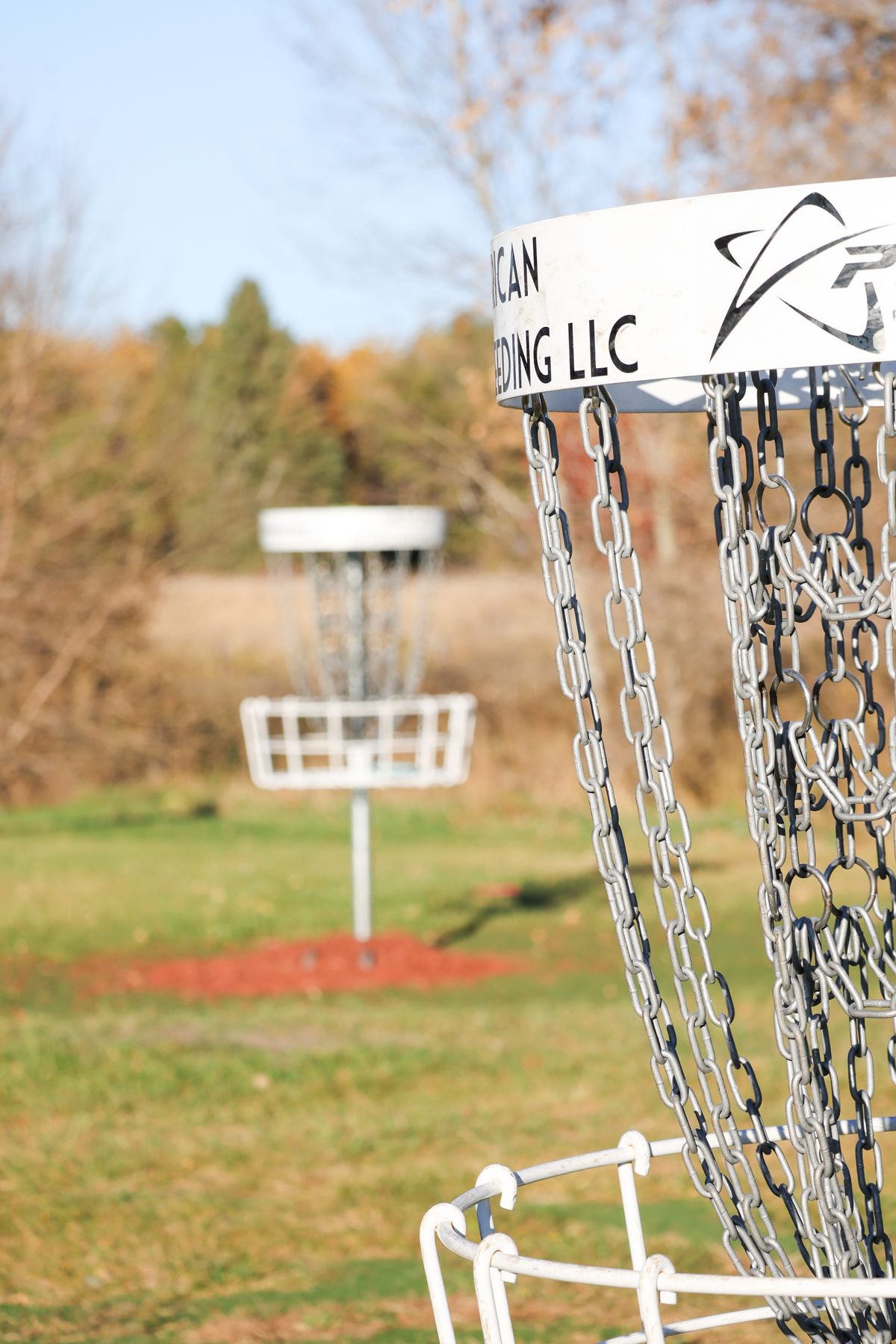 @ShelbyFramesTheDisc