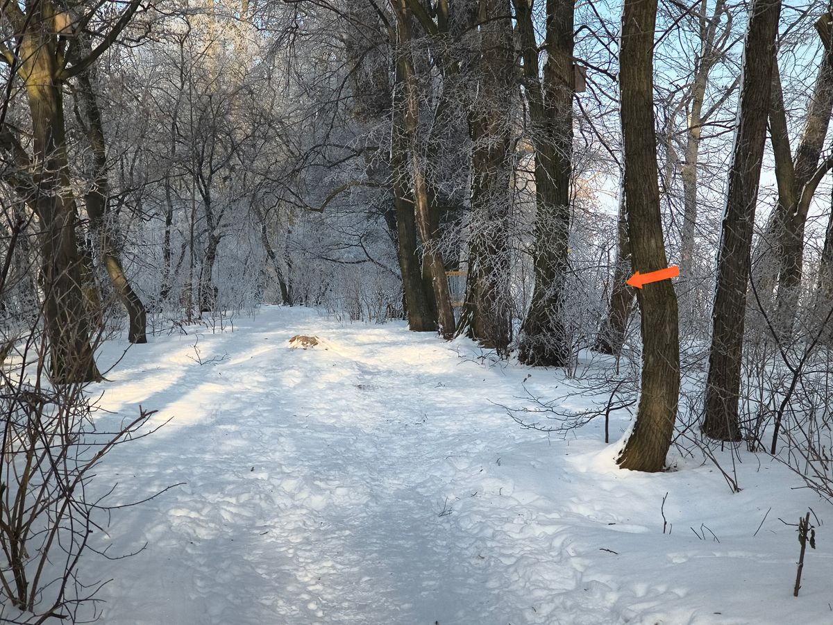 Kosz nr 3 z short tee