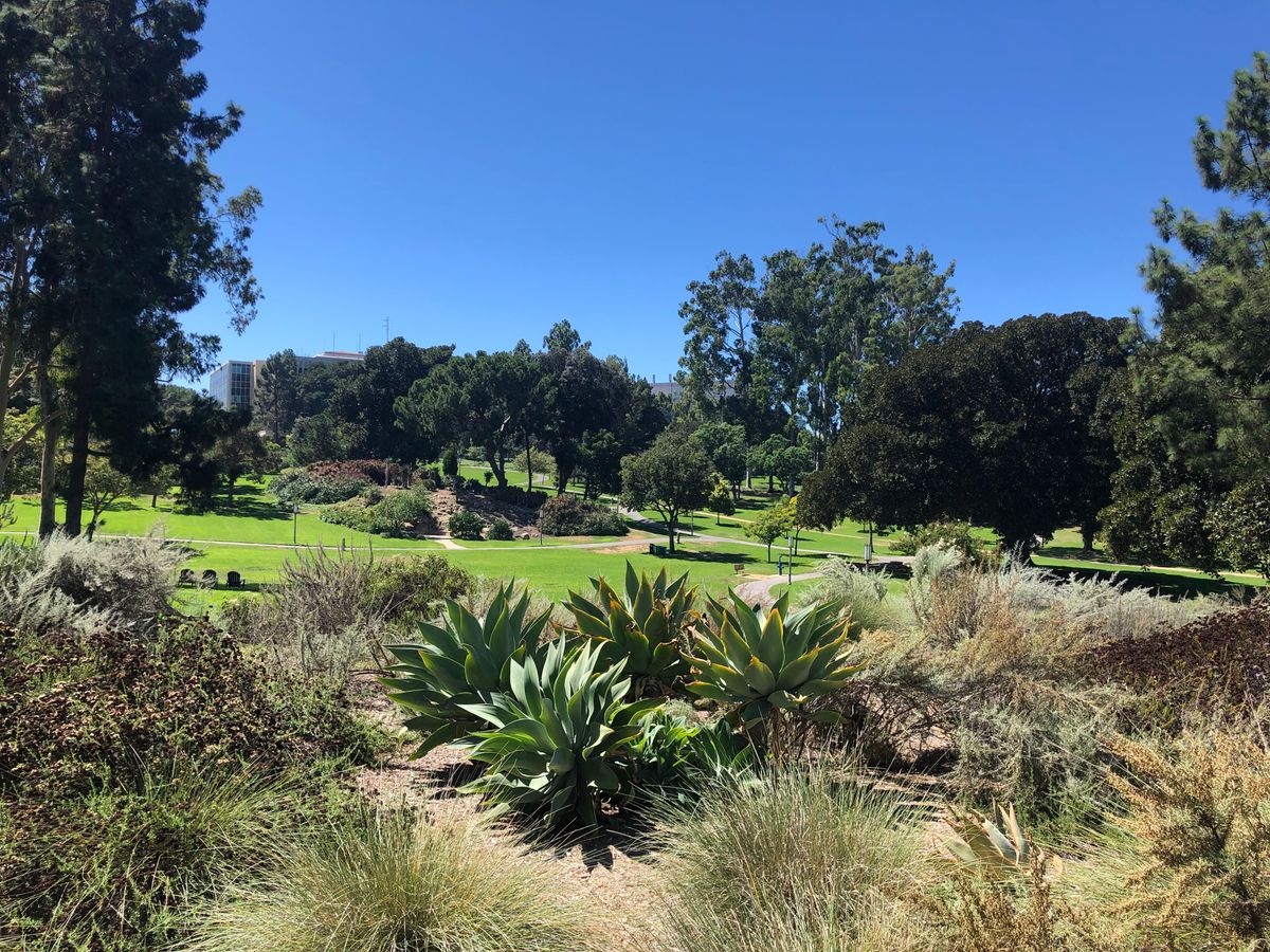 The foreground is OB for holes 10, 63, 55, & 72.