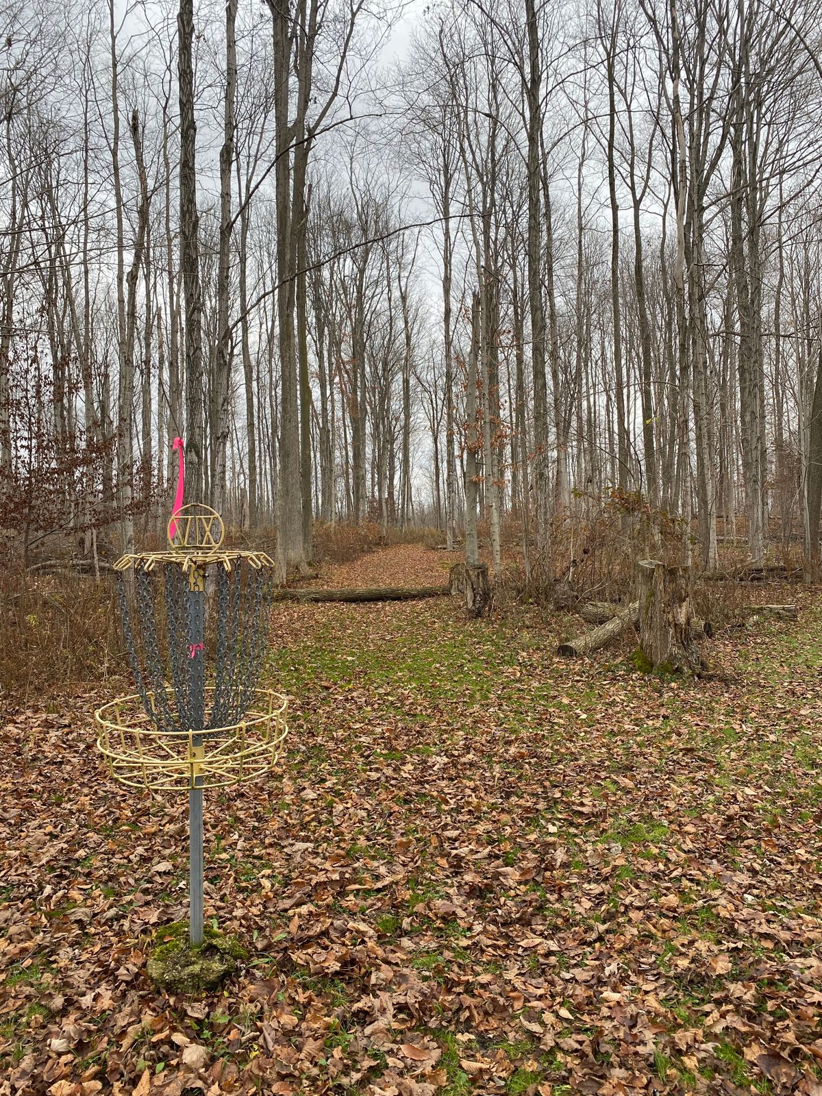 Hole 14 