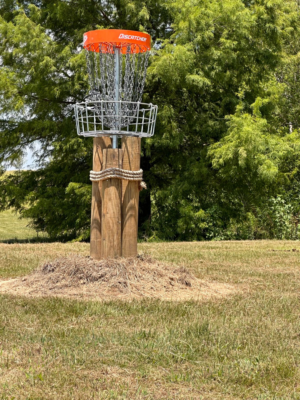Nice decor on this slightly elevated bucket.