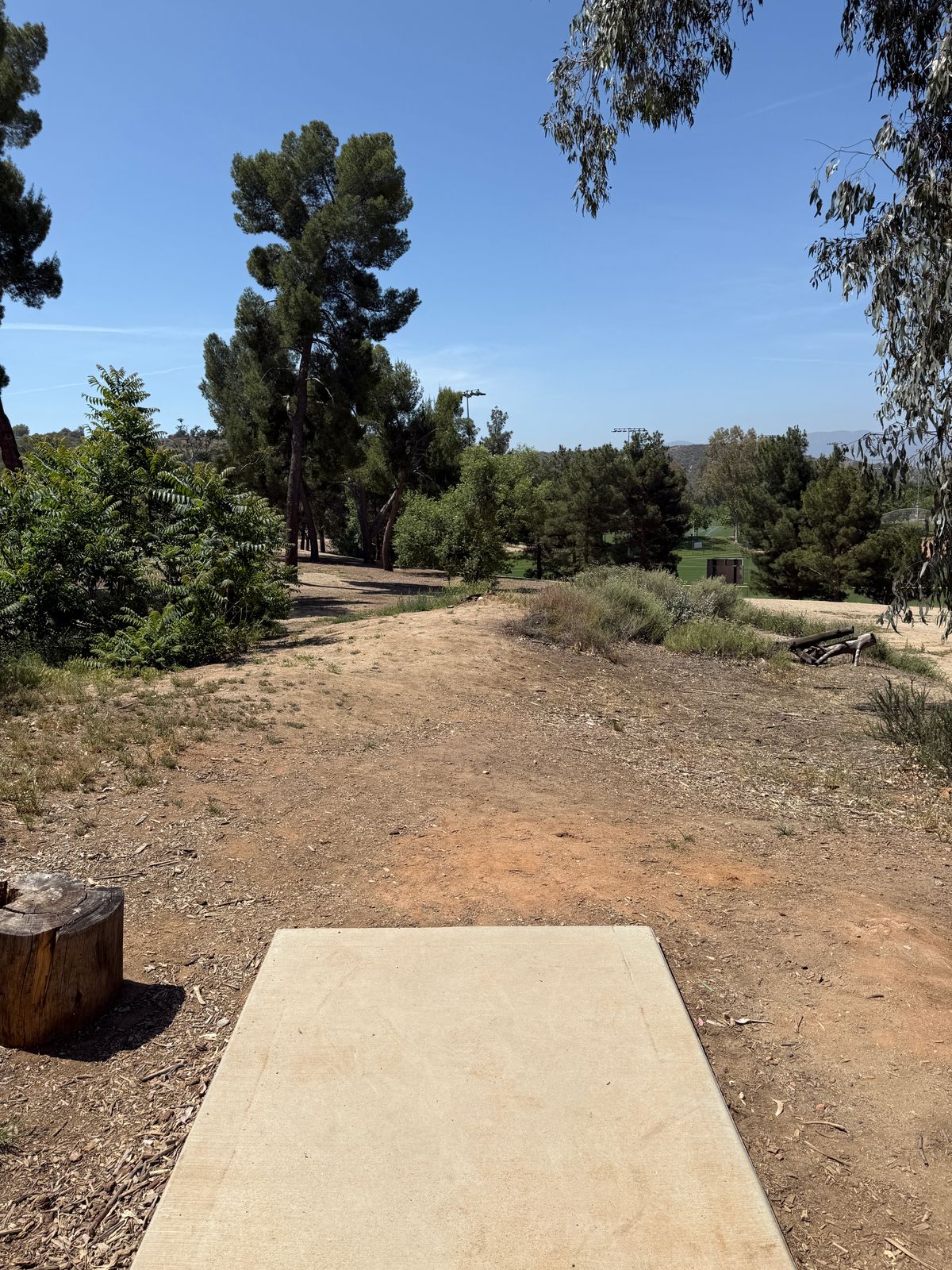 Hole 4 tee