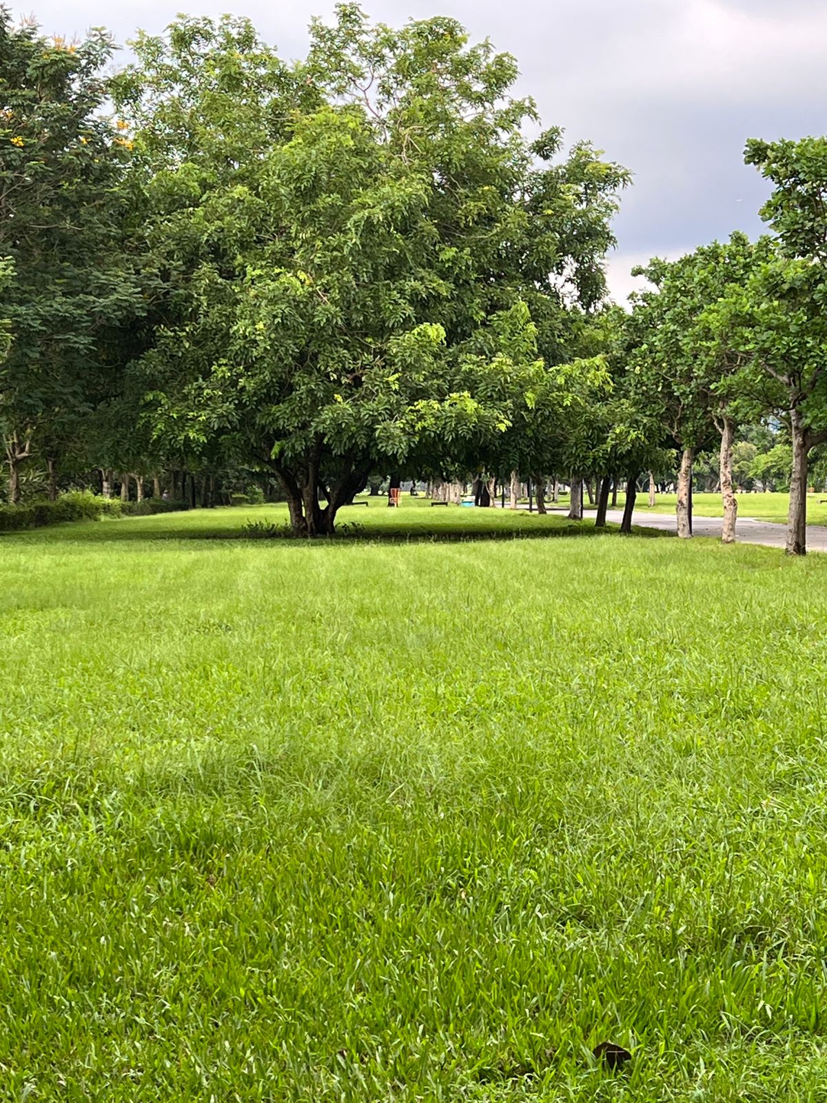 Hole 11