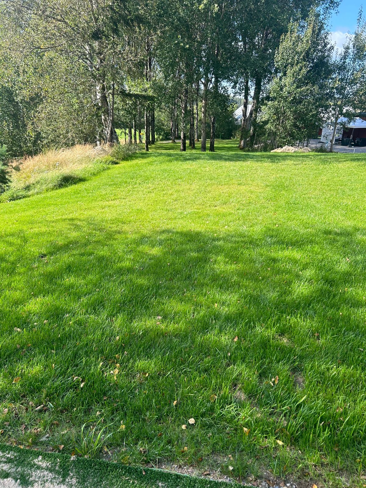 Från tee 2