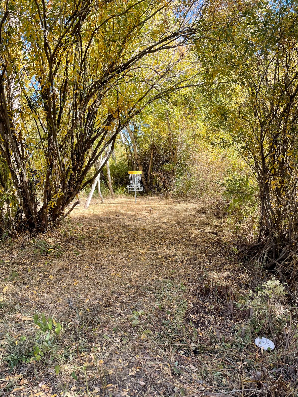 Green of hole 6E