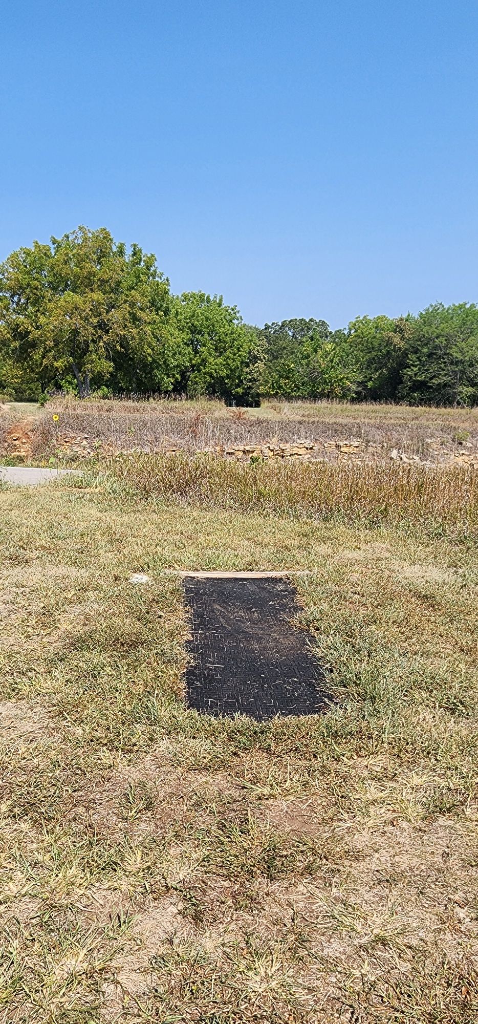Hole 6