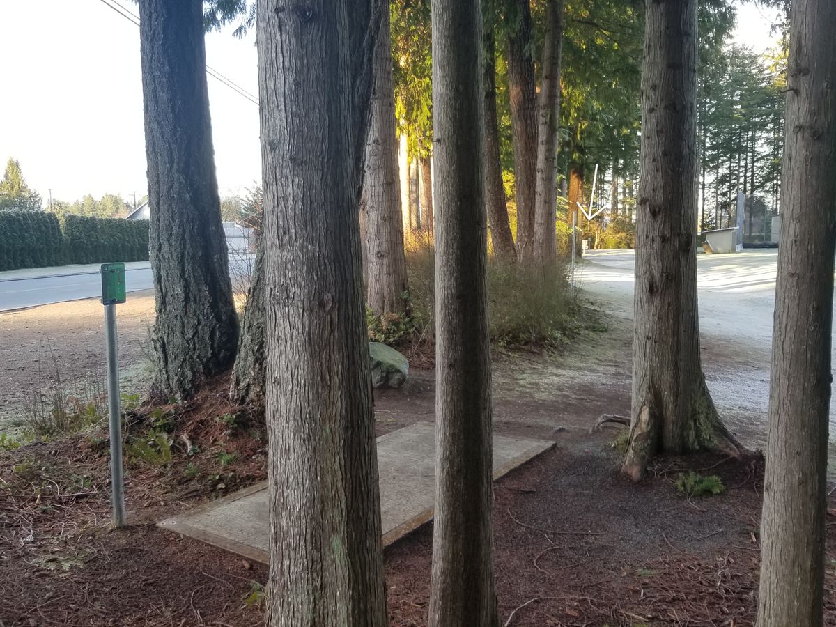 Hole 4