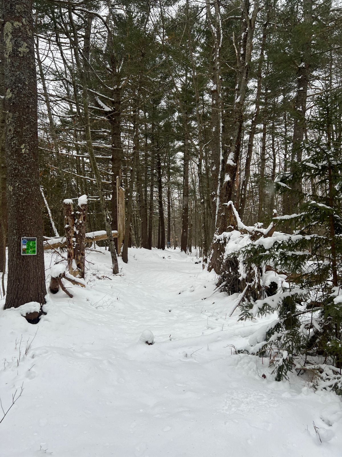 Hole 15