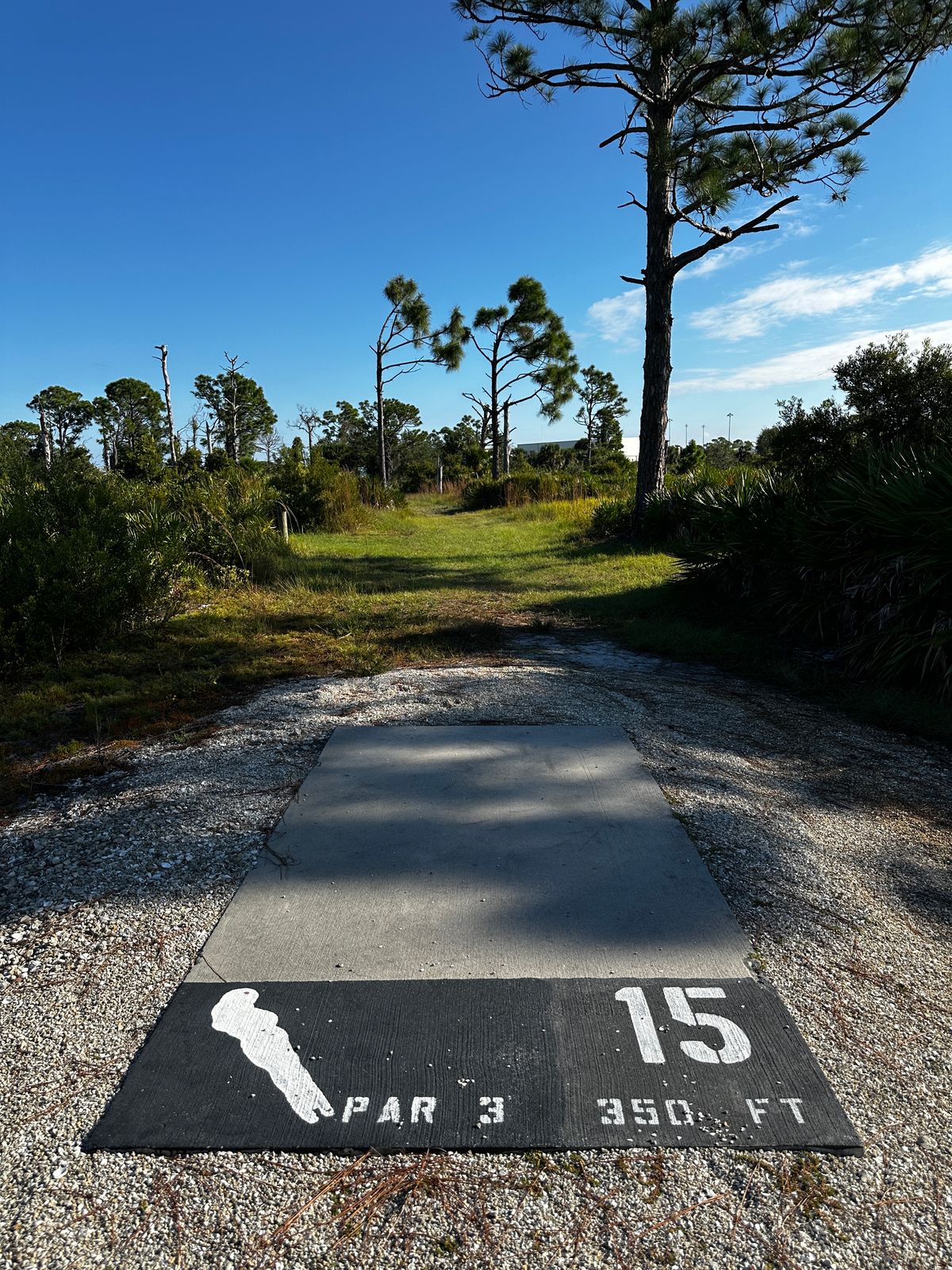 Current tee location 10/2025. 355 ft to basket from front of tee
