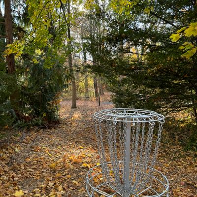 Hole 8 Basket and tunnel to Hole 9 teebox