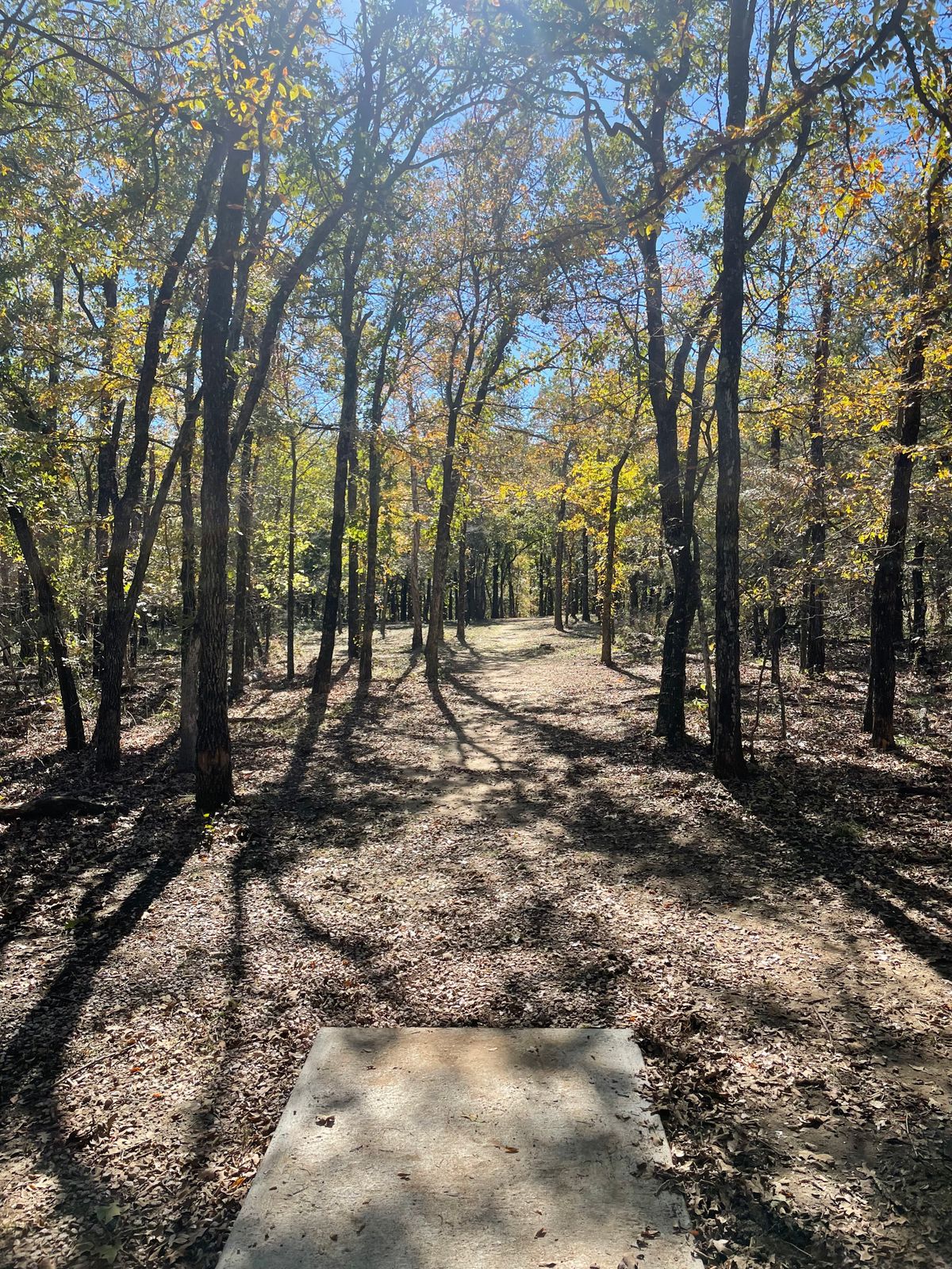 Hole 17 tee
