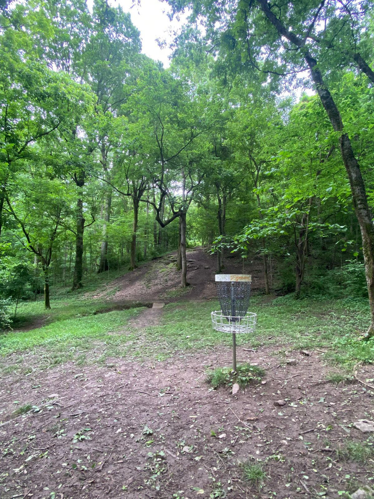 Hole 14 baby