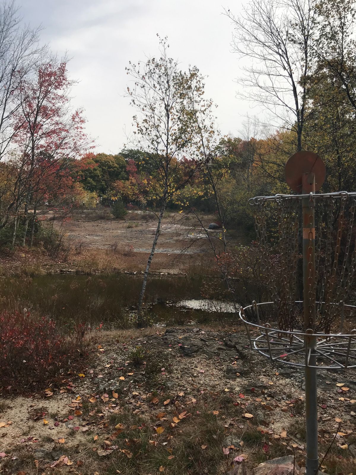 Pond hole