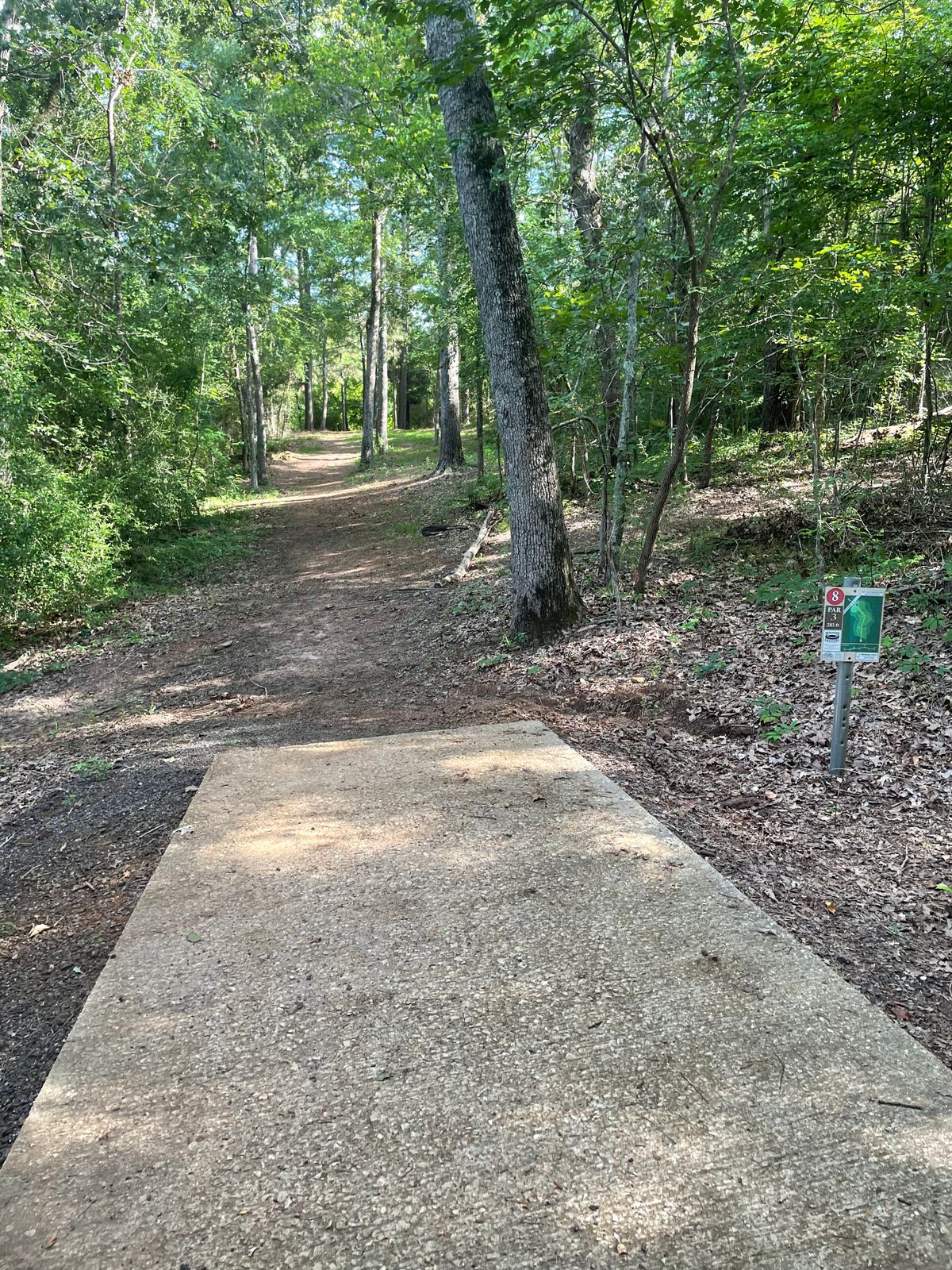 Hole 8