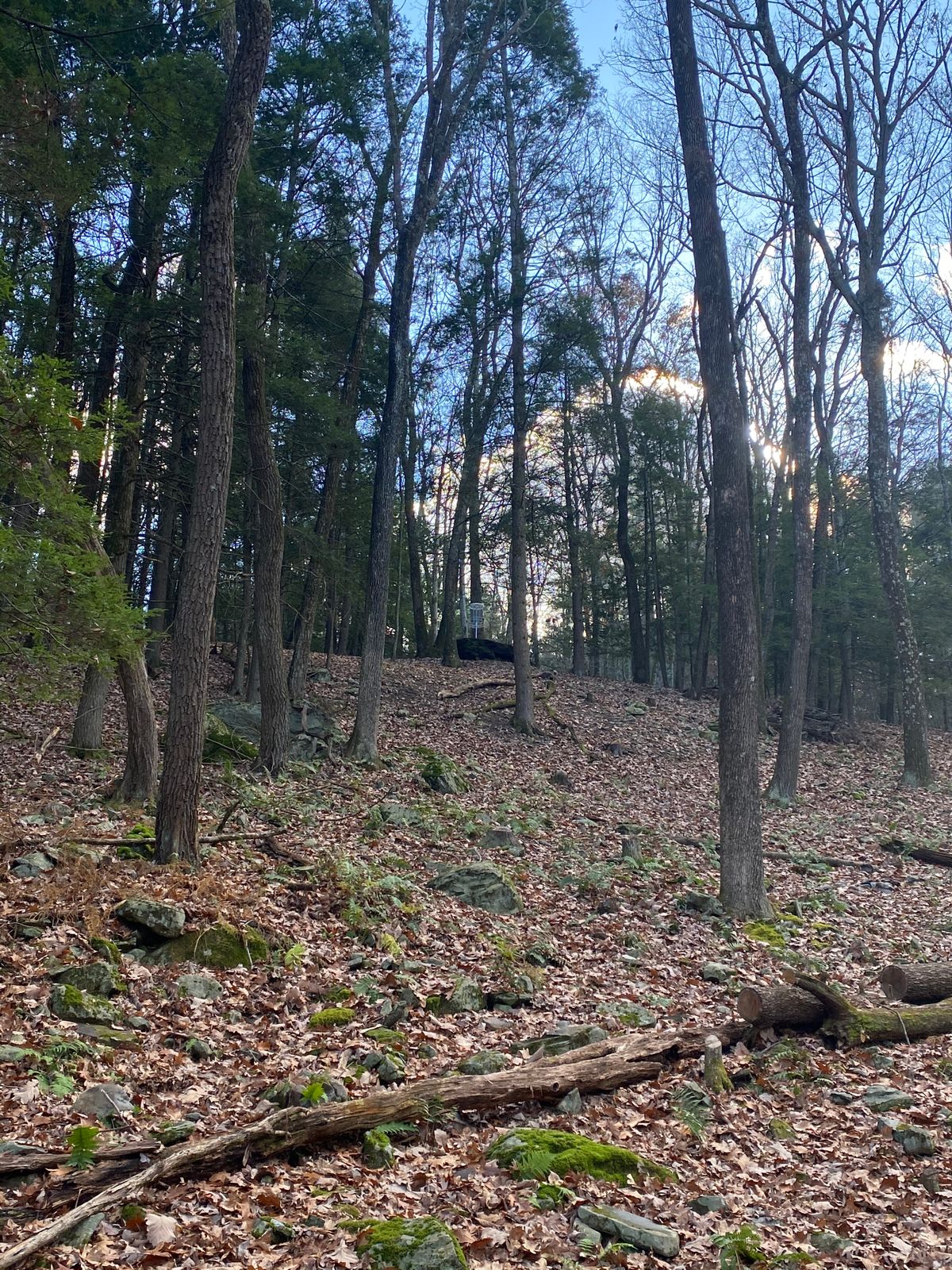 Hole 8 basket