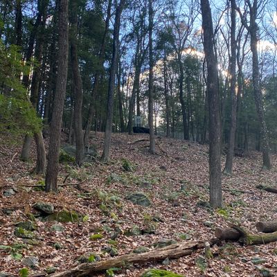 Hole 8 basket