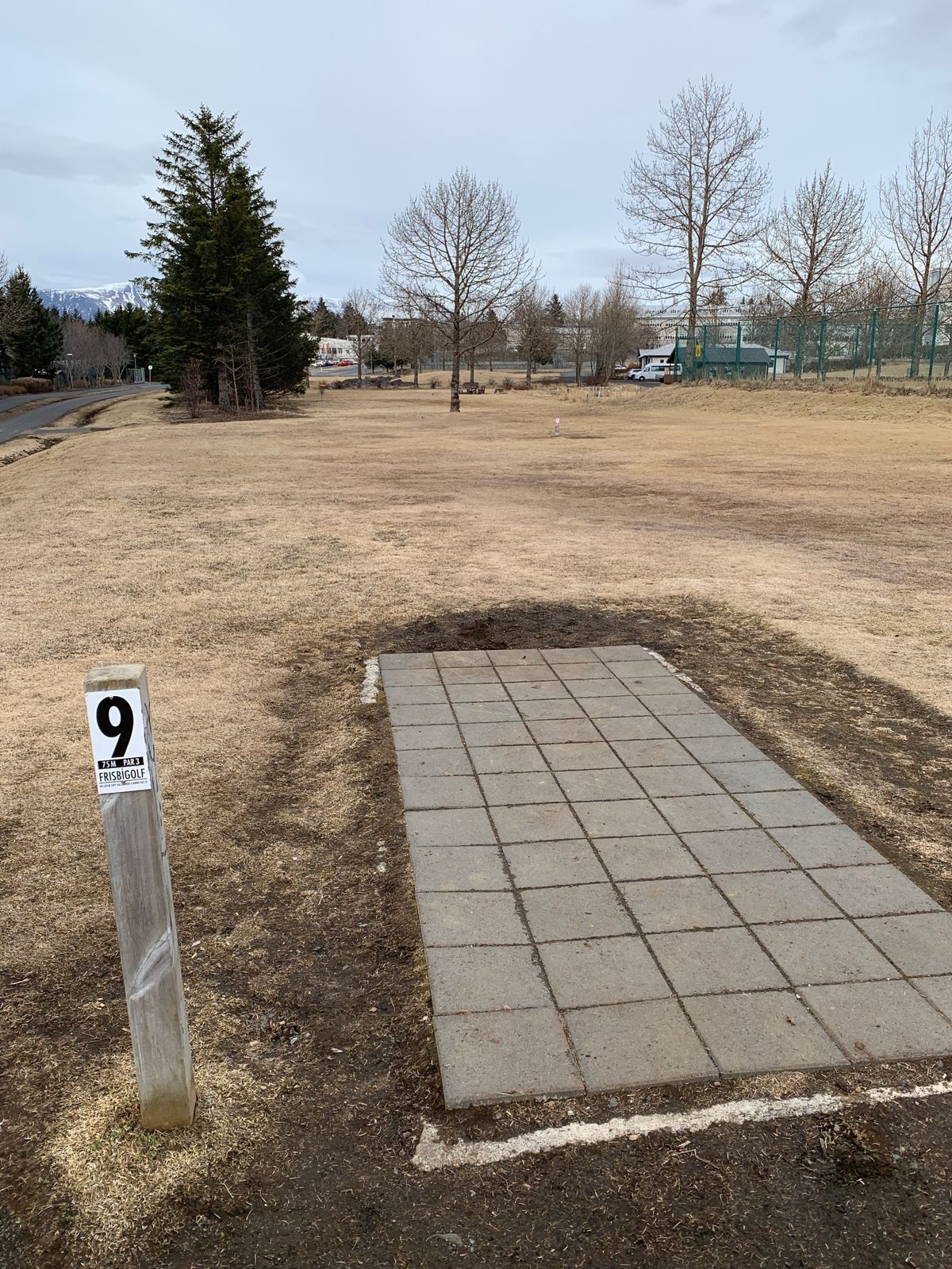 Tee pad and fairway hole 9