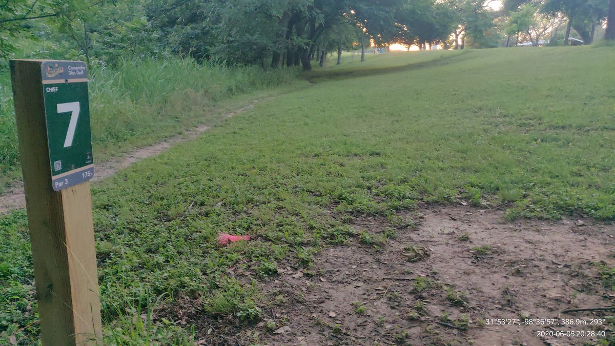 Tee 7