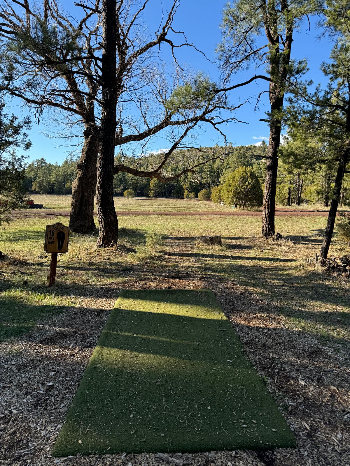 Hole 16 Long Tee