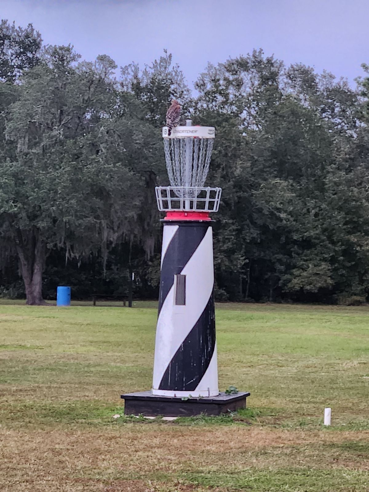 Moccasin Creek disc golf course
Elkton, Florida