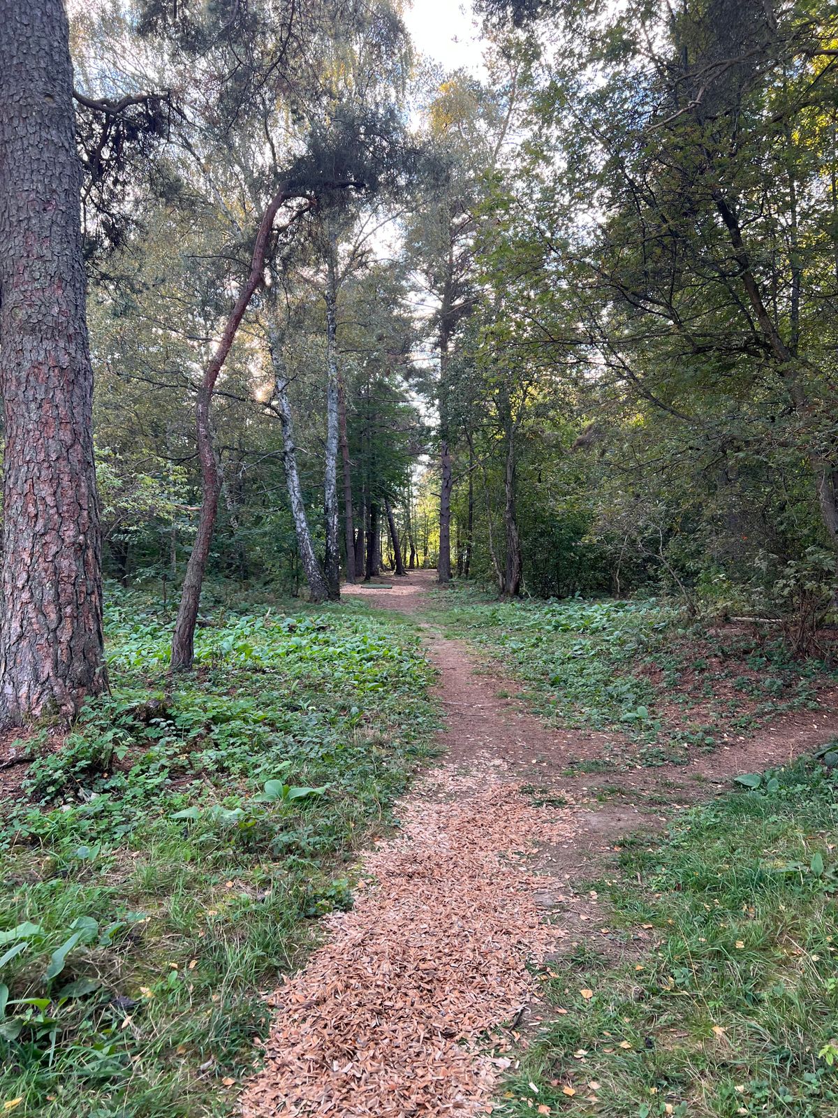 Hål 3 fairway