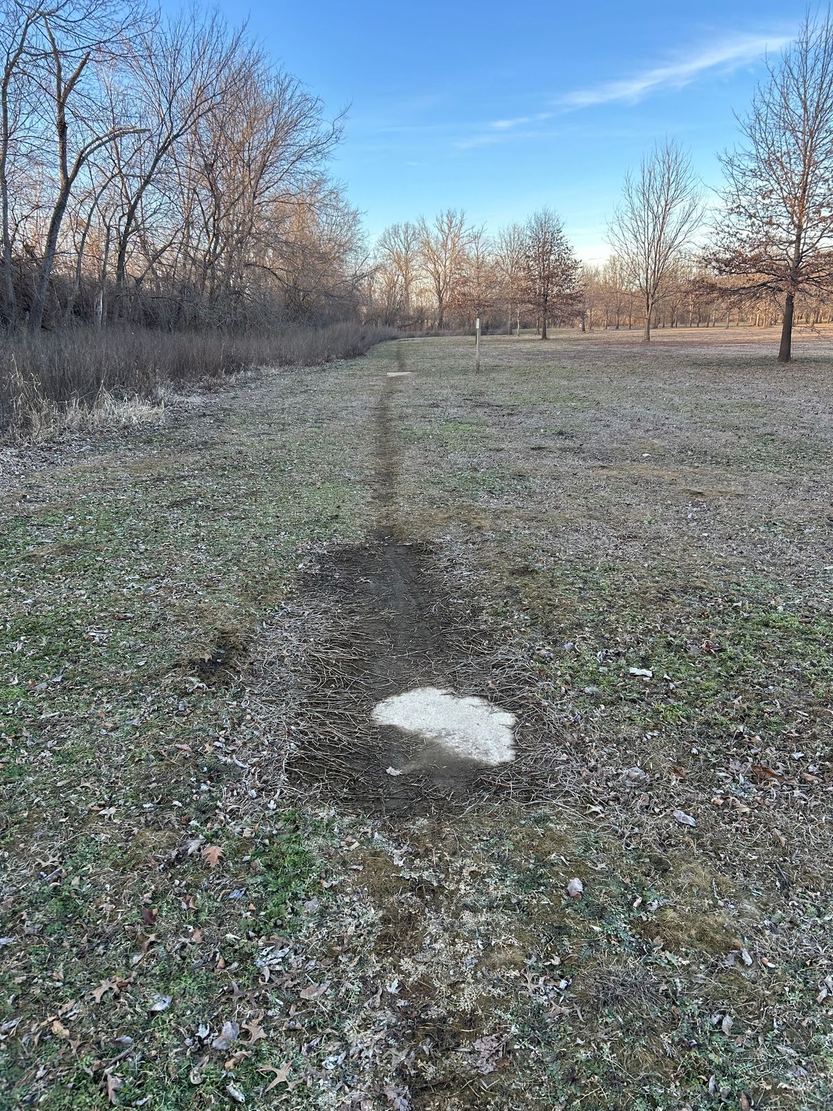 Hole 5’s long tee-pad location. Needs some attention.