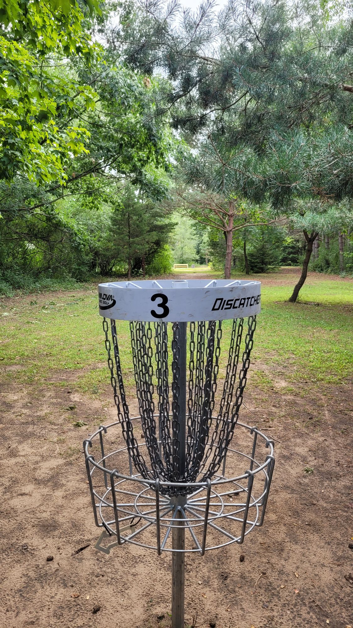Hole 3 Basket