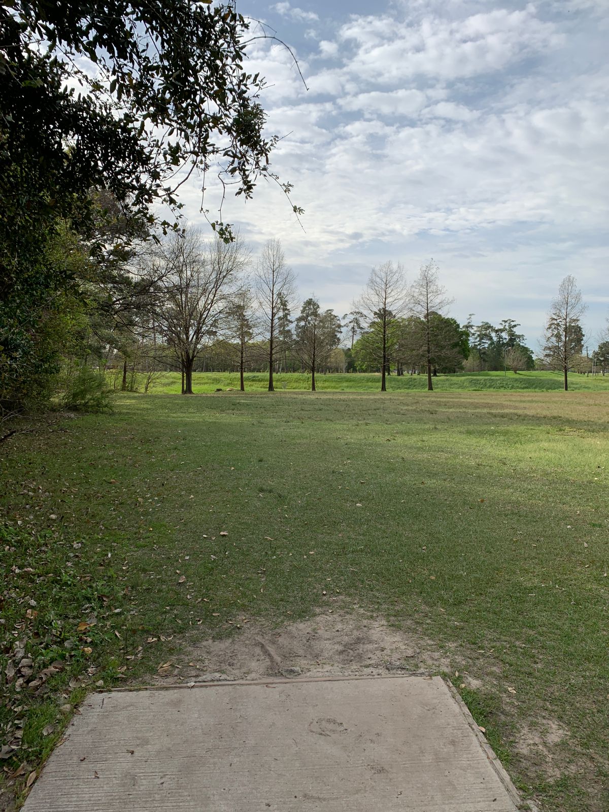 Hole 6, just beyond is bayou, don't go too long