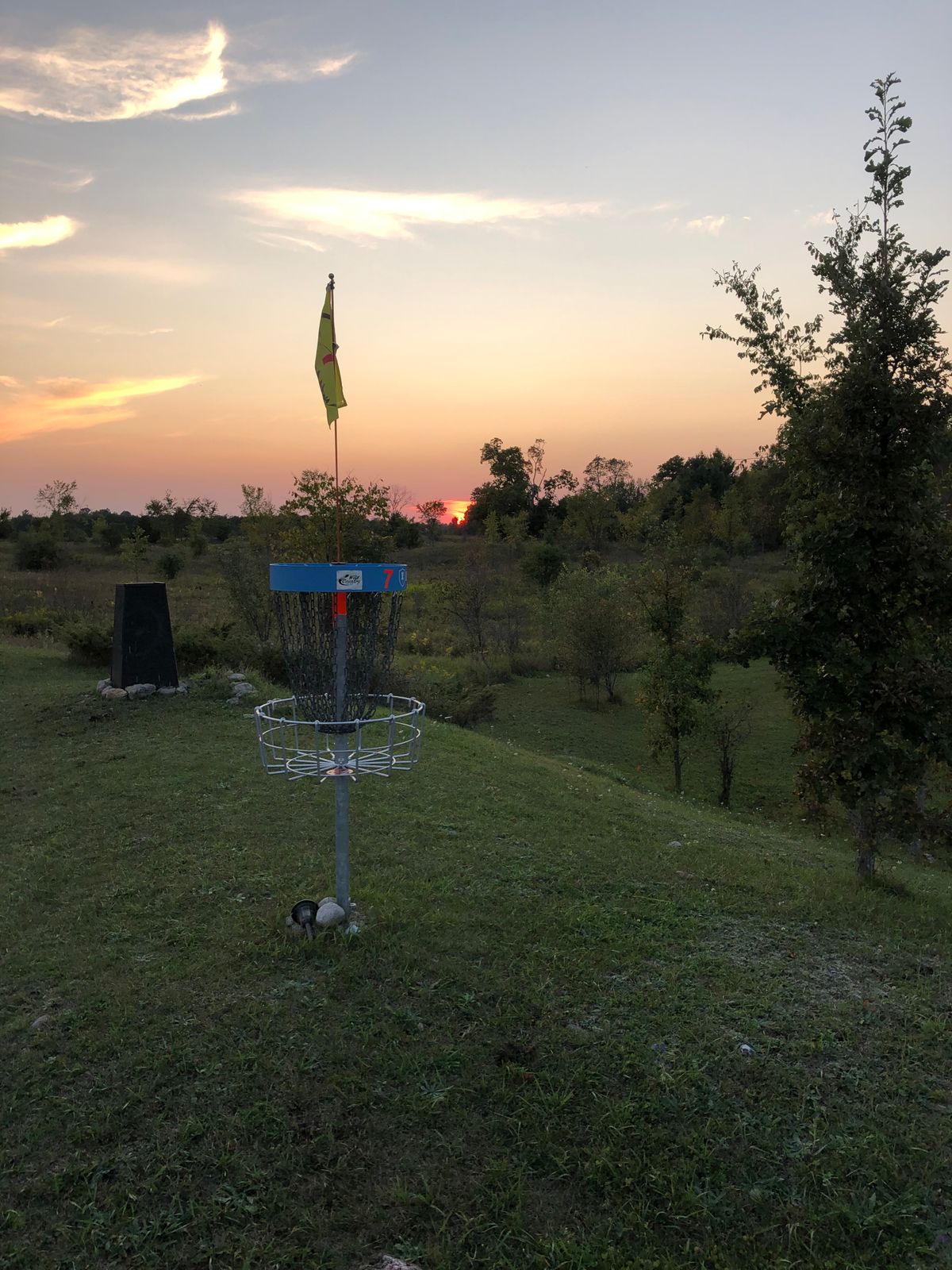 Hole 7 main pin