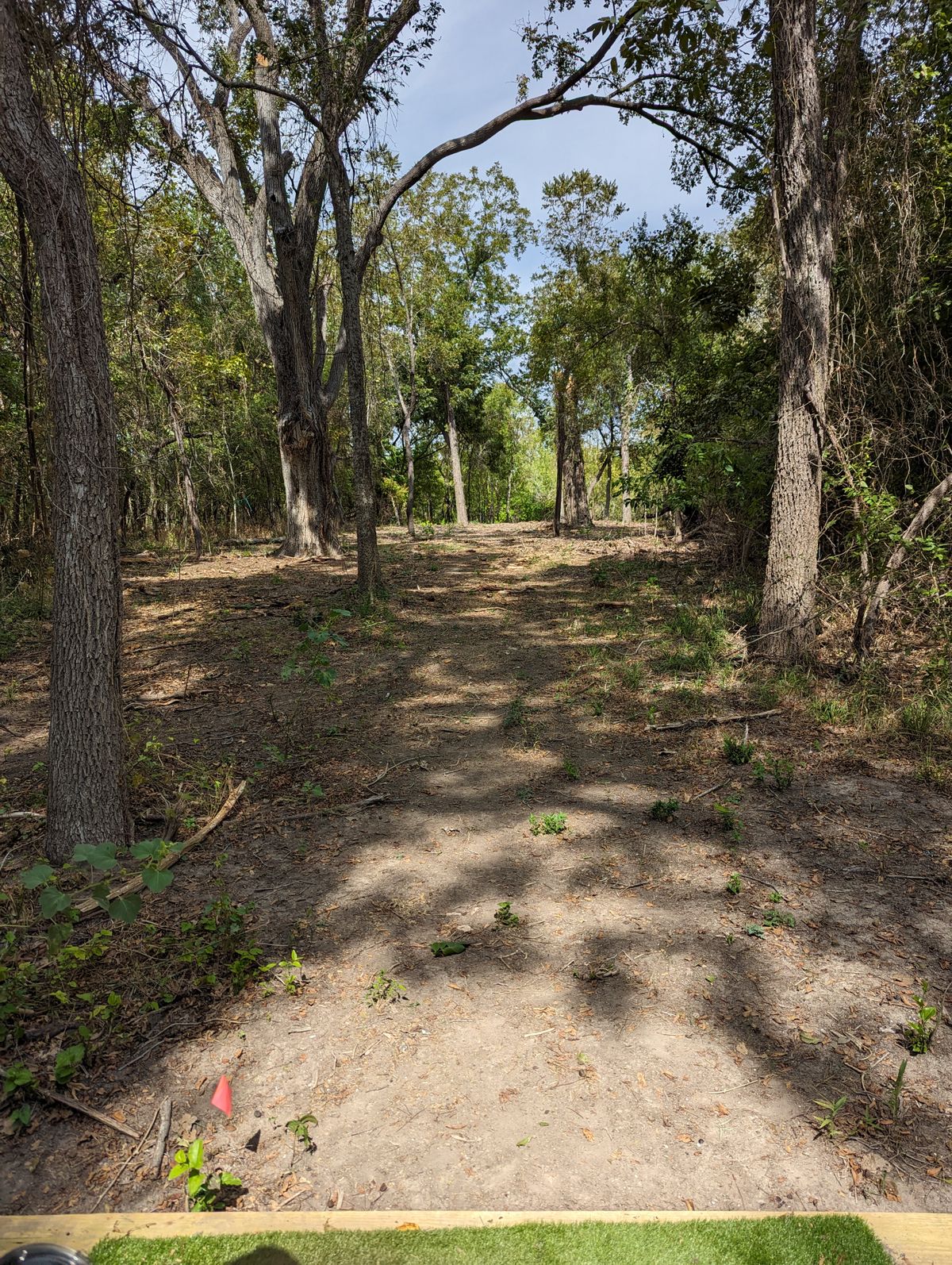 Hole 14 Tee