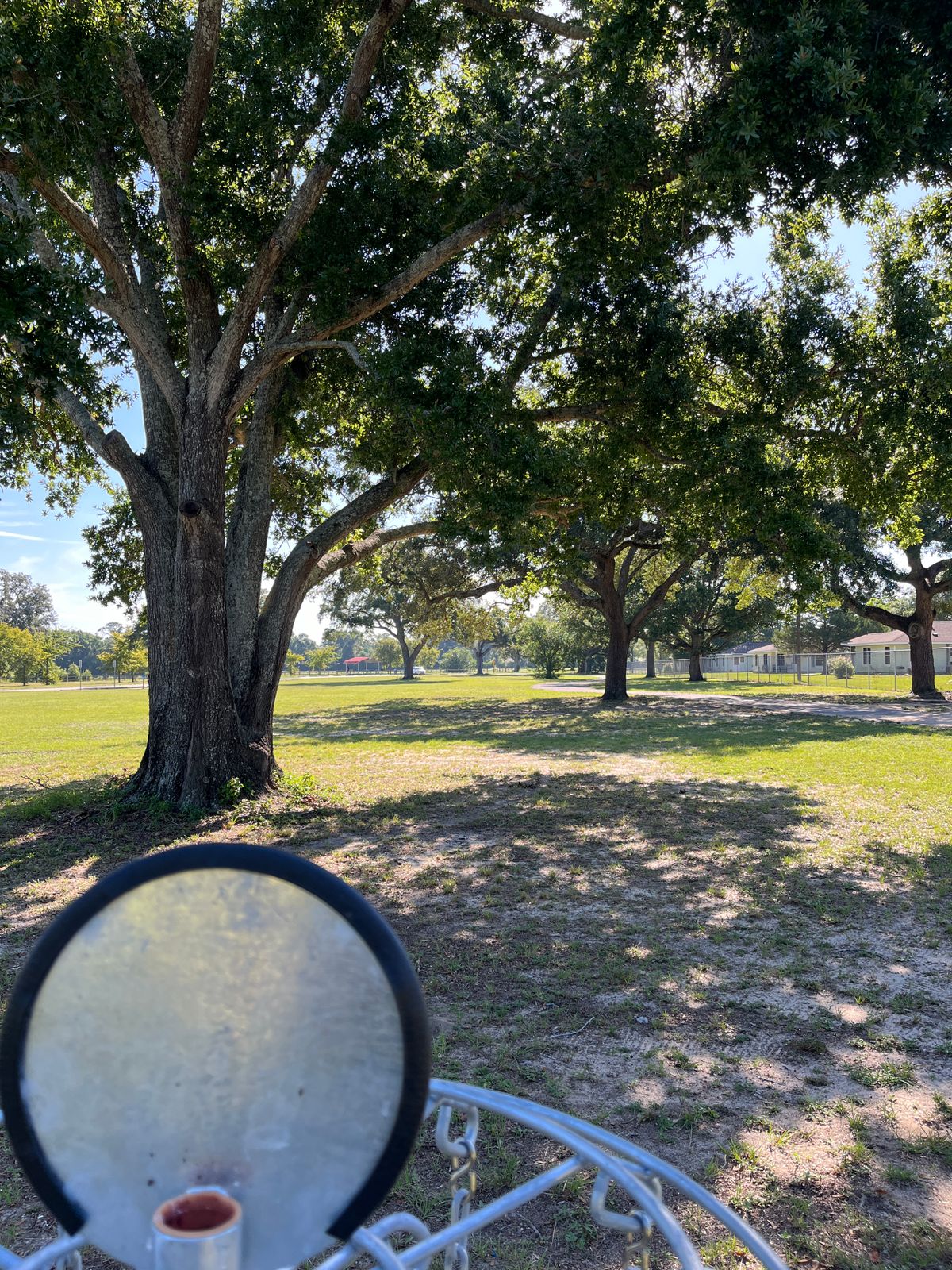Hole 17 Basket to Tee
