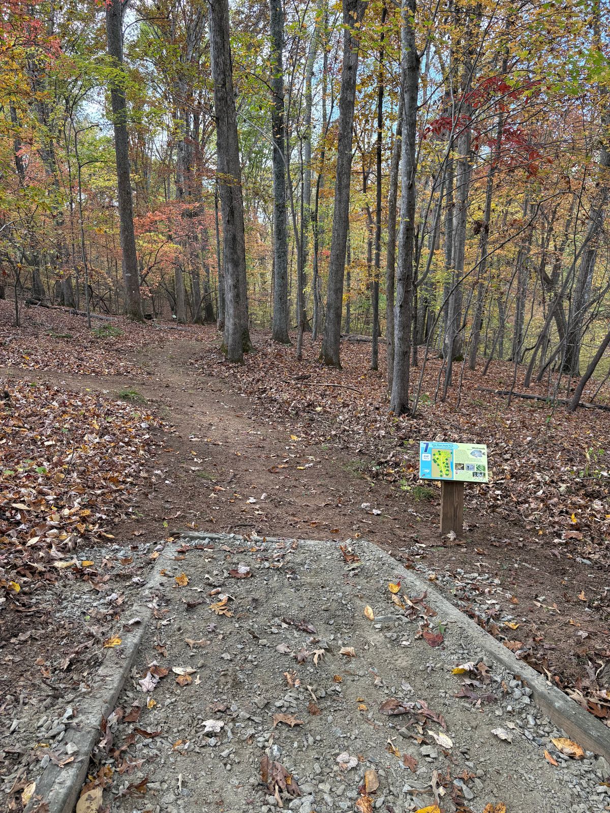 Hole 7