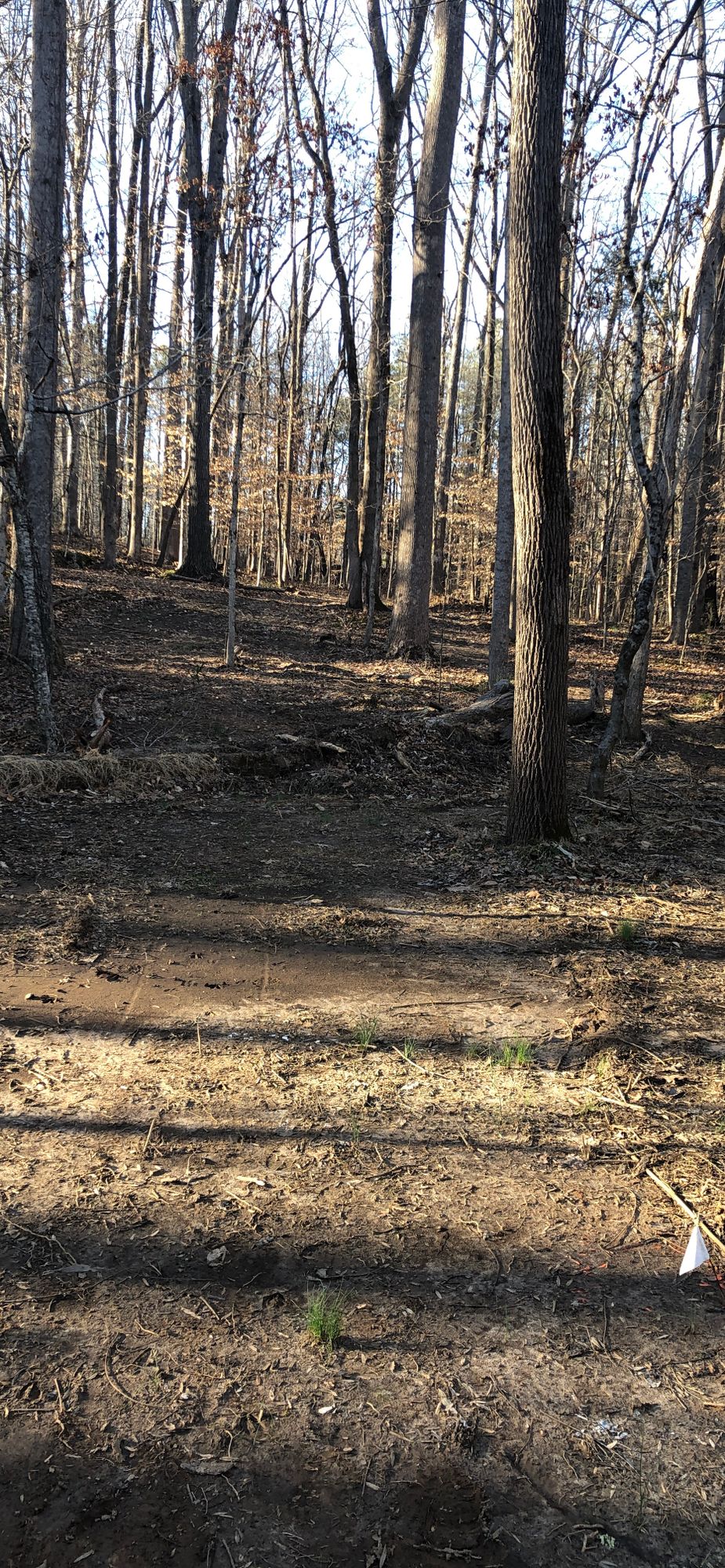 Hole 9 Tee