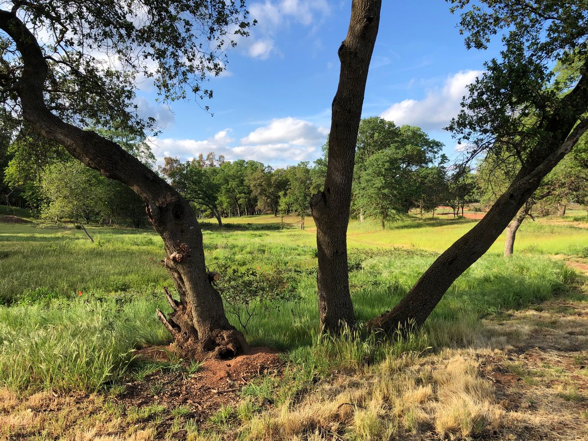 Hole 13