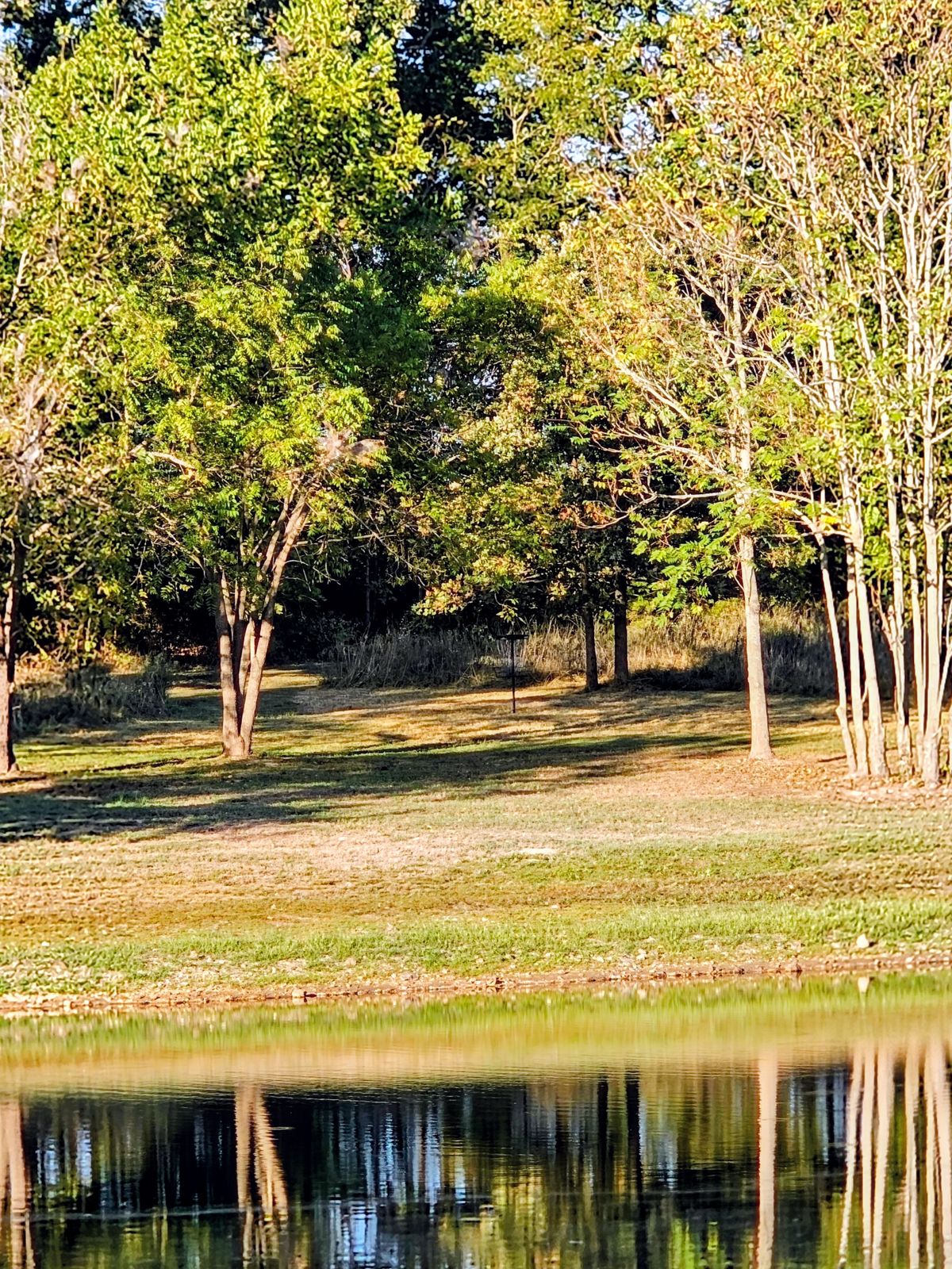 Hole 9