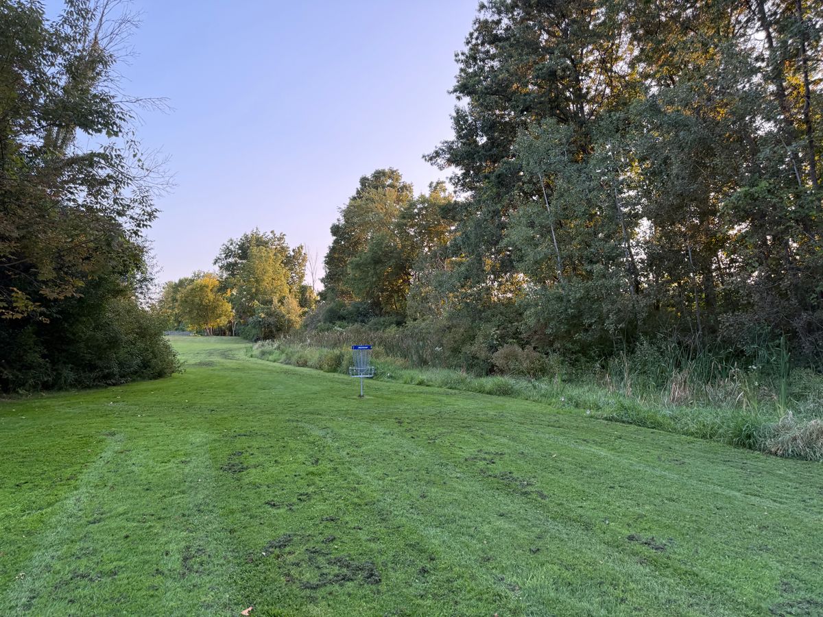 Hole 7 Green