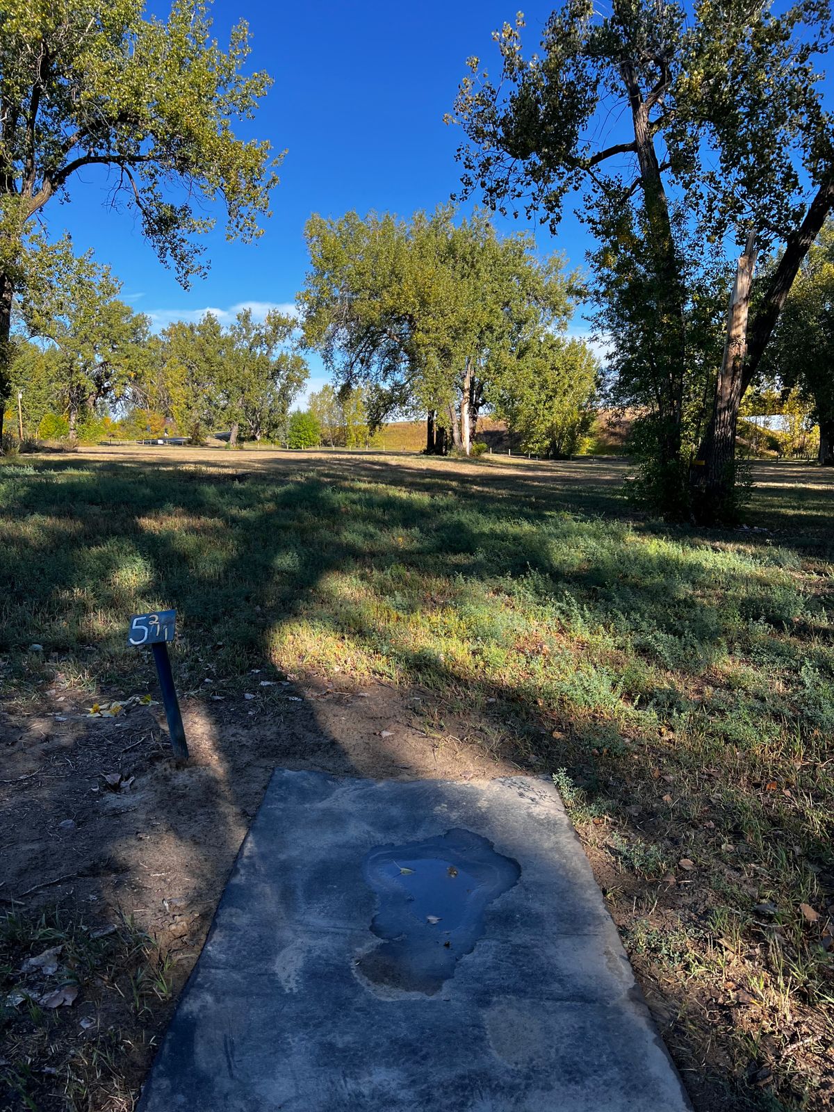 Tee 5