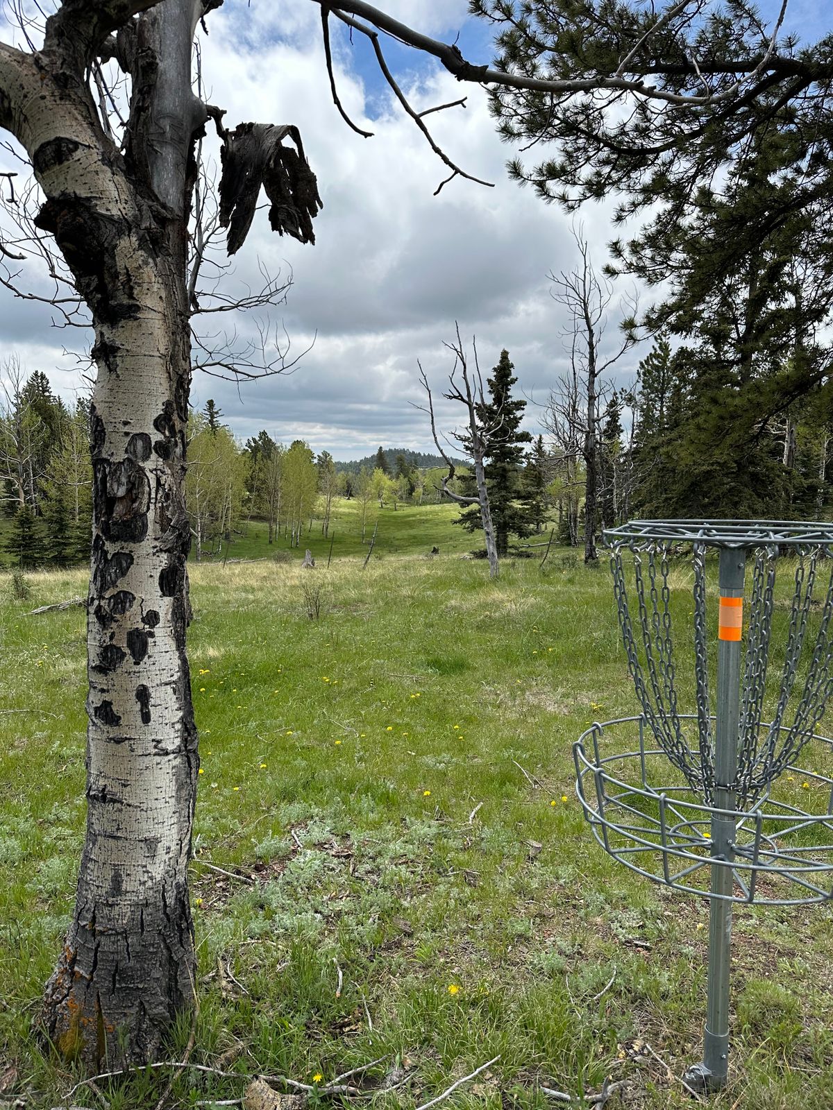 Basket 8, with a great view of the mountain!