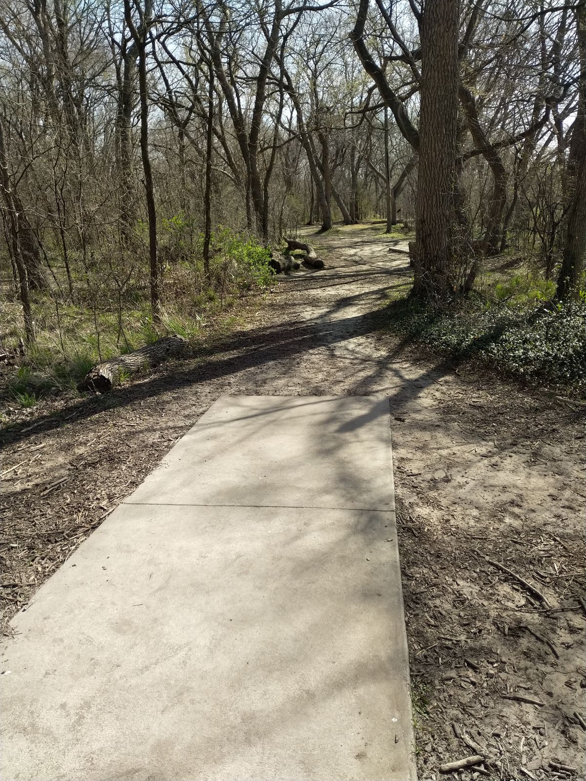 Hole #4 Blue Tee (April 2021)