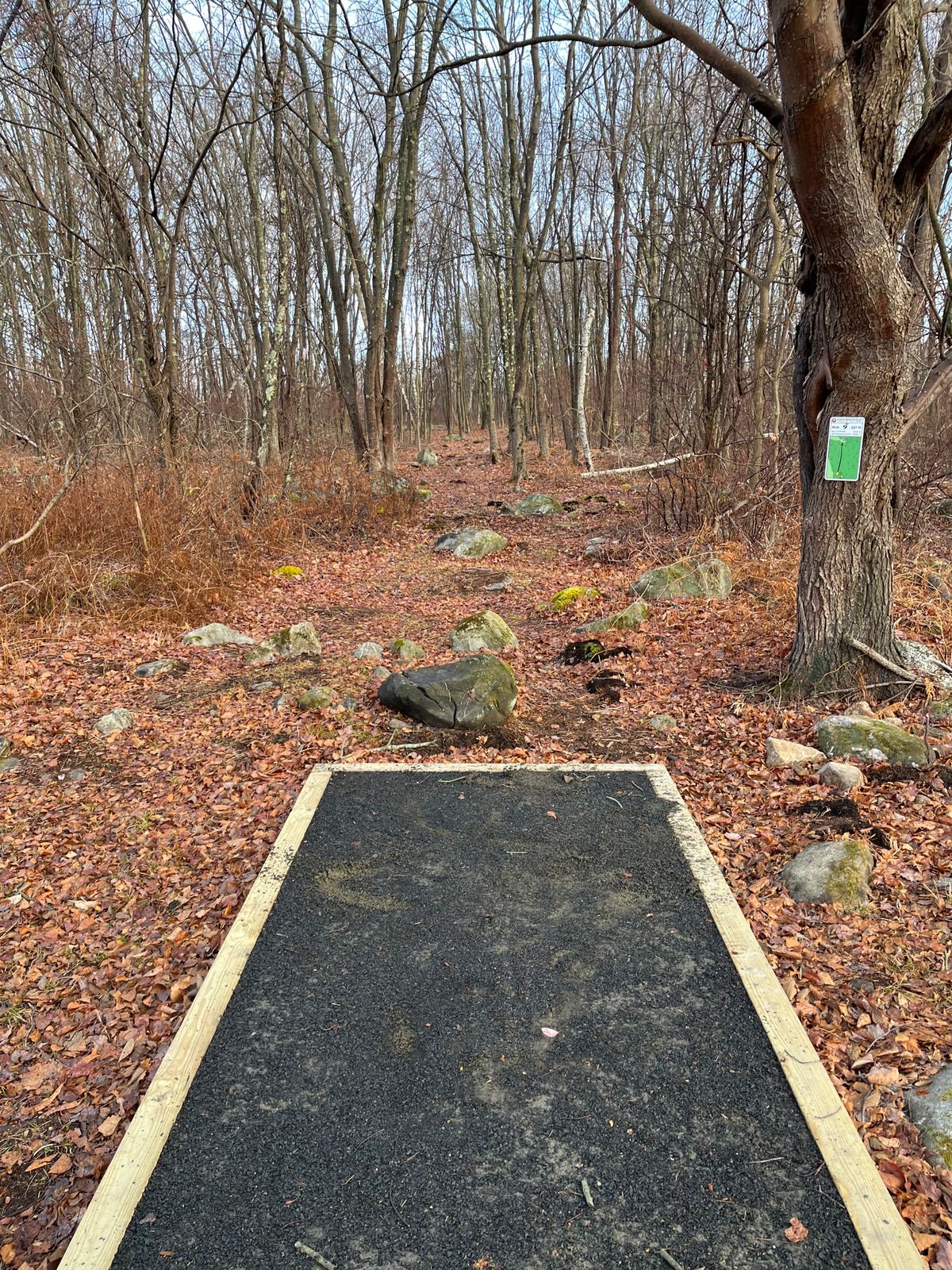 Hole 9