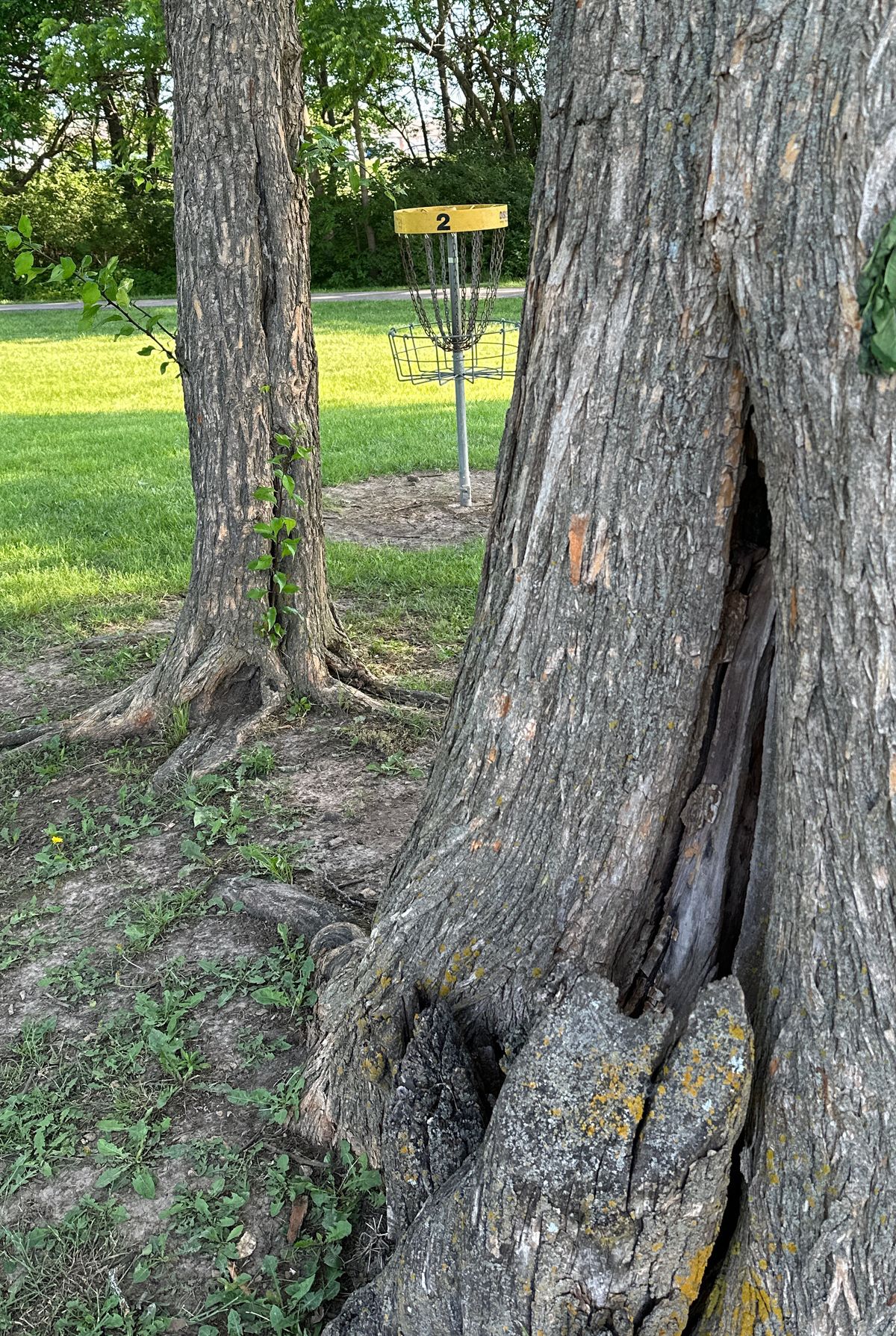 Hole 2; A placement